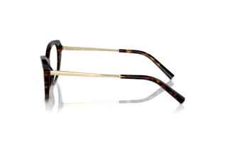 Zijaanzicht Ralph Lauren RL6245 (5003)