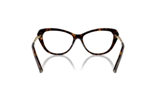 Achteraanzicht Ralph Lauren RL6245 (5003)