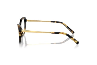 Zijaanzicht Ralph Lauren RL6245 (5004)