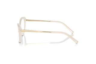 Zijaanzicht Ralph Lauren RL6245 (6182)