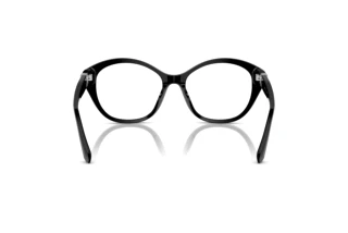 Achteraanzicht Ralph Lauren RL6246U (5001)