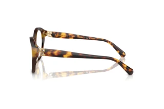 Zijaanzicht Ralph Lauren RL6246U (5134)