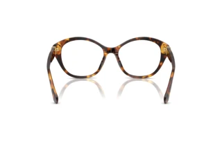 Achteraanzicht Ralph Lauren RL6246U (5134)