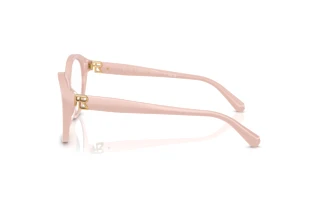 Zijaanzicht Ralph Lauren RL6246U (6053)