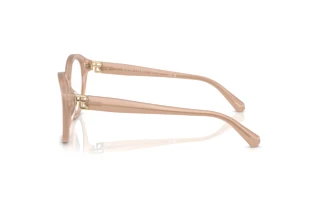 Zijaanzicht Ralph Lauren RL6246U (6217)