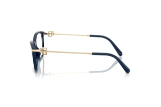 Zijaanzicht Ralph Lauren RL6247U (6215)