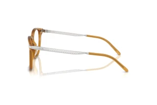 Zijaanzicht Ralph Lauren RL6248U (5275)