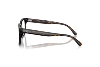 Zijaanzicht Ralph Lauren RL6249U (5241)