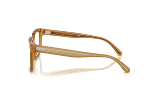 Zijaanzicht Ralph Lauren RL6249U (5275)