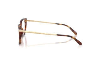 Zijaanzicht Ralph Lauren RL6250U (6056)