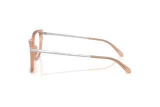 Zijaanzicht Ralph Lauren RL6250U (6242)