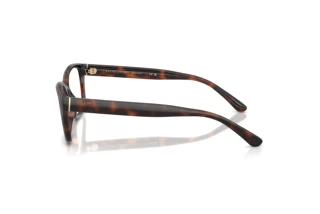 Zijaanzicht Ralph Lauren RL6252U (6241)