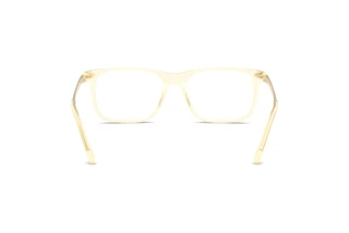 Achteraanzicht Ralph Lauren RL6253U (5034)