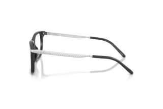 Zijaanzicht Ralph Lauren RL6253U (5965)