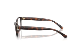 Zijaanzicht Ralph Lauren RL6254U (6241)