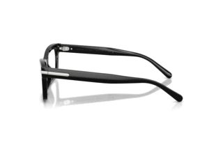 Zijaanzicht Ralph Lauren RL6255U (5001)