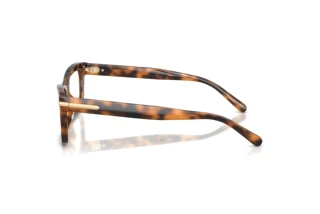 Zijaanzicht Ralph Lauren RL6255U (6089)