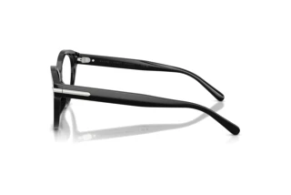 Zijaanzicht Ralph Lauren RL6256U (5001)