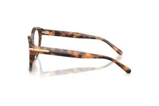 Zijaanzicht Ralph Lauren RL6256U (6089)