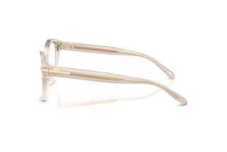 Zijaanzicht Ralph Lauren RL6256U (6112)