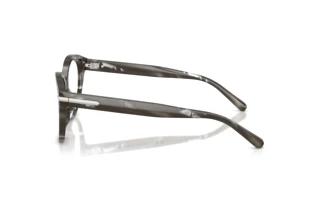 Zijaanzicht Ralph Lauren RL6256U (6175)