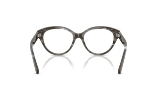 Achteraanzicht Ralph Lauren RL6256U (6175)