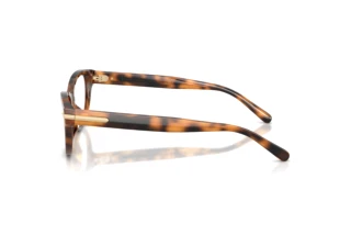 Zijaanzicht Ralph Lauren RL6257U (6089)