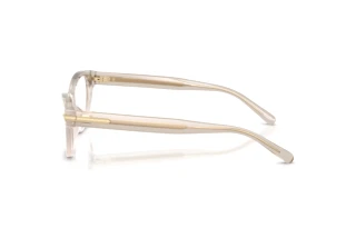 Zijaanzicht Ralph Lauren RL6257U (6112)