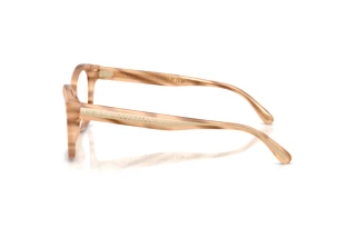 Zijaanzicht Ralph Lauren RL6259U (6179)