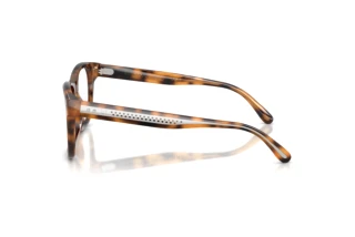 Zijaanzicht Ralph Lauren RL6260U (6089)