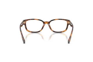 Achteraanzicht Ralph Lauren RL6261U (6089)