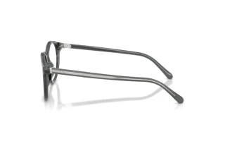 Zijaanzicht Ralph Lauren RL6263U (6347)