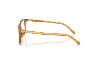 Zijaanzicht Ralph Lauren RL6264U (6185)