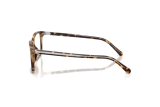 Zijaanzicht Ralph Lauren RL6264U (6339)