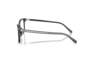 Zijaanzicht Ralph Lauren RL6264U (6347)