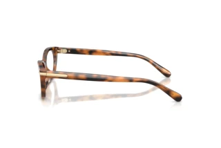 Zijaanzicht Ralph Lauren RL6268U (6089)