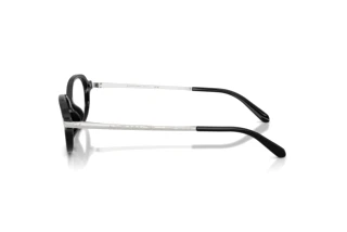 Zijaanzicht Ralph Lauren RL6269U (5001)