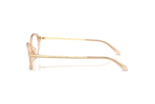 Zijaanzicht Ralph Lauren RL6269U (6062)