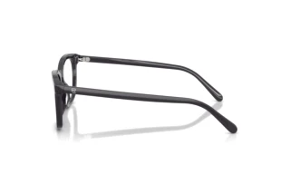 Zijaanzicht Ralph Lauren RL6270U (5965)