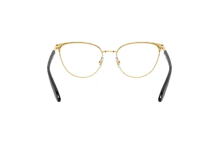 Achteraanzicht Ralph RA6047 (9358)