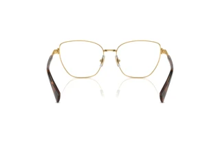 Achteraanzicht Ralph RA6060 (9004)