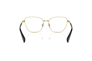 Achteraanzicht Ralph RA6060 (9443)