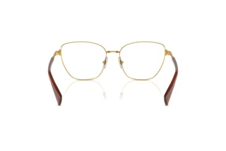 Achteraanzicht Ralph RA6060 (9458)