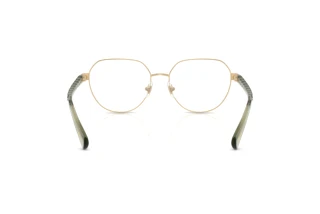 Achteraanzicht Ralph RA6065 (9494)