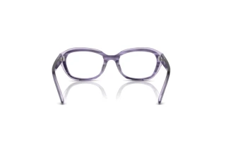 Achteraanzicht Ray-Ban Kids RY1636 (3989)