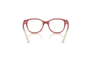 Achteraanzicht Ray-Ban Kids RY1950 (7204)