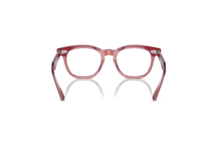 Achteraanzicht Ray-Ban Kids RY9098V (3960)