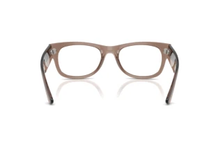 Achteraanzicht Ray-Ban MEGA WAYFARER II (RX0832V - 8457)