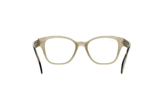 Achteraanzicht Ray-Ban RX0880 (8178)