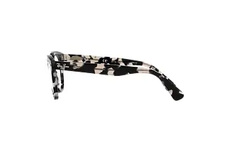Zijaanzicht Ray-Ban RX2199V (8117)